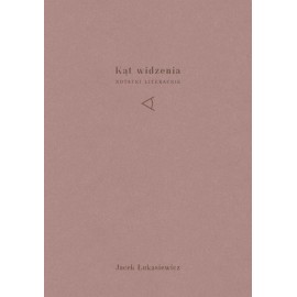 Kąt widzenia. Notatki literackie