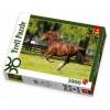 Puzzle 1000 Galop TREFL