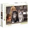 Puzzle 1000 HQ Lovely Kittens