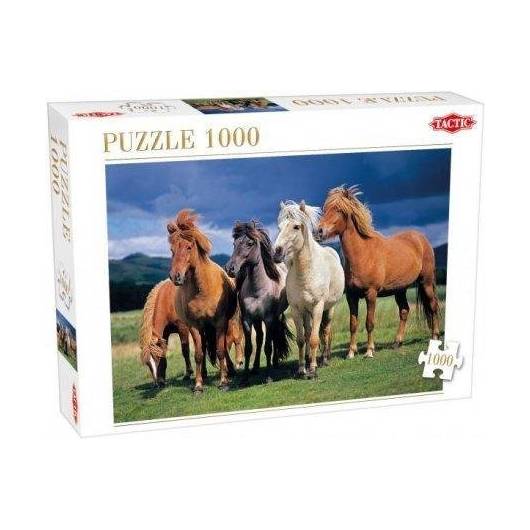 Puzzle 1000 Camargue horses