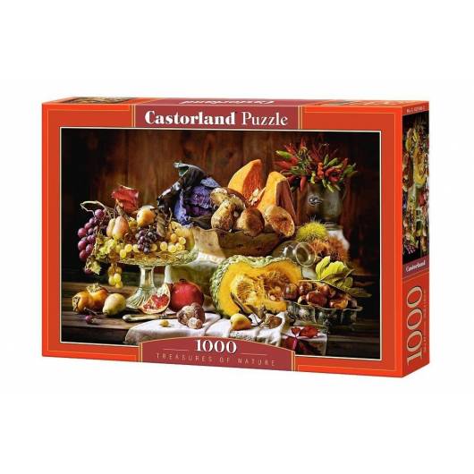 Puzzle 1000 Skarby Natury CASTOR