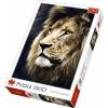 Puzzle 1500 Portret lwa TREFL