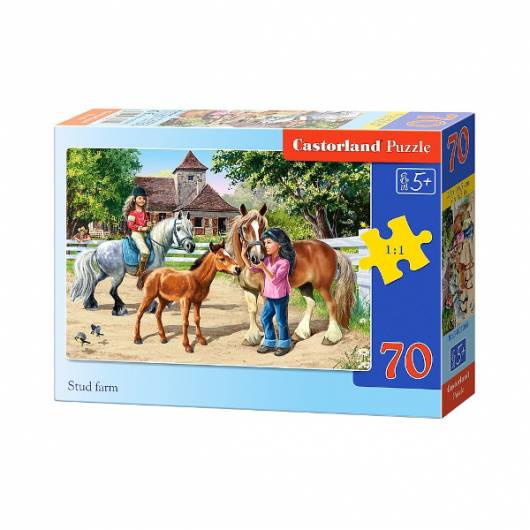 CASTOR 70 EL. Stadnina koni
