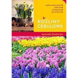 Rośliny cebulowe